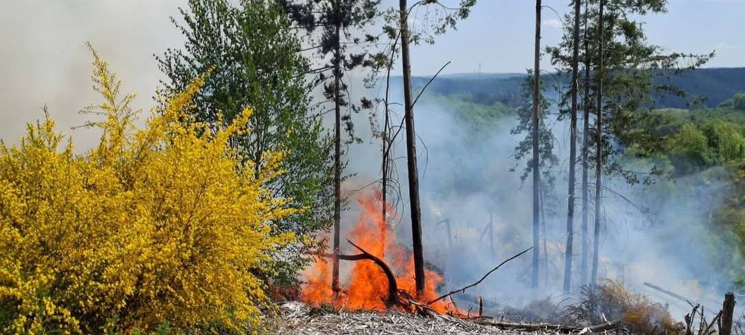 Waldbrand bei Friesenhagen