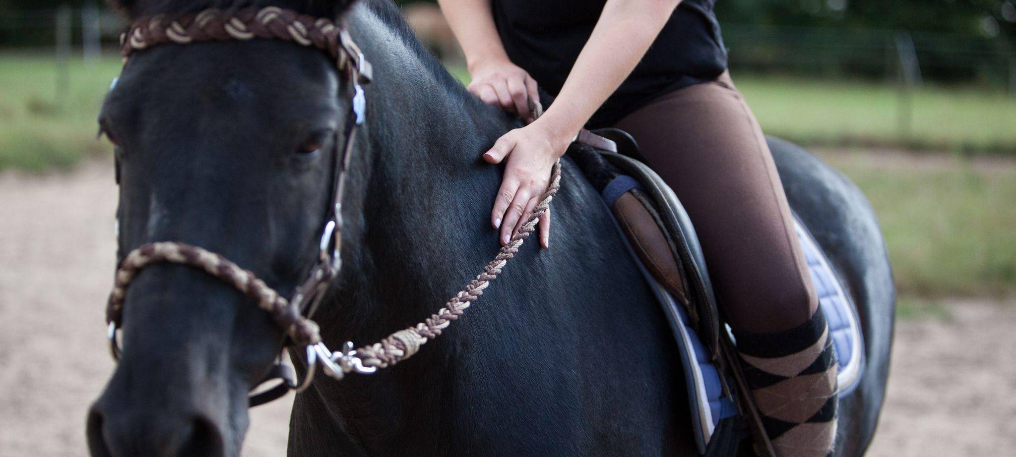 Frau streichelt ein Pony