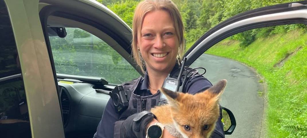Polizei befreit jungen Fuchs in Eiserfeld