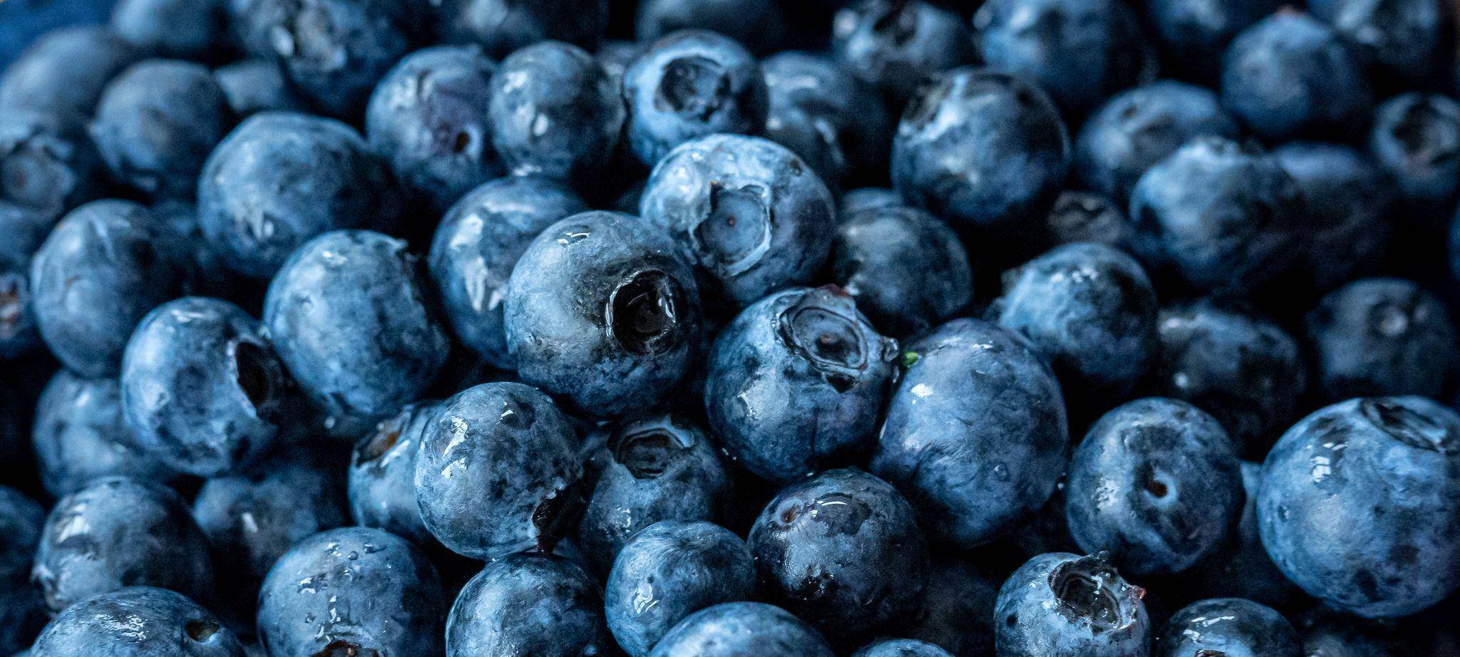 Heidelbeeren