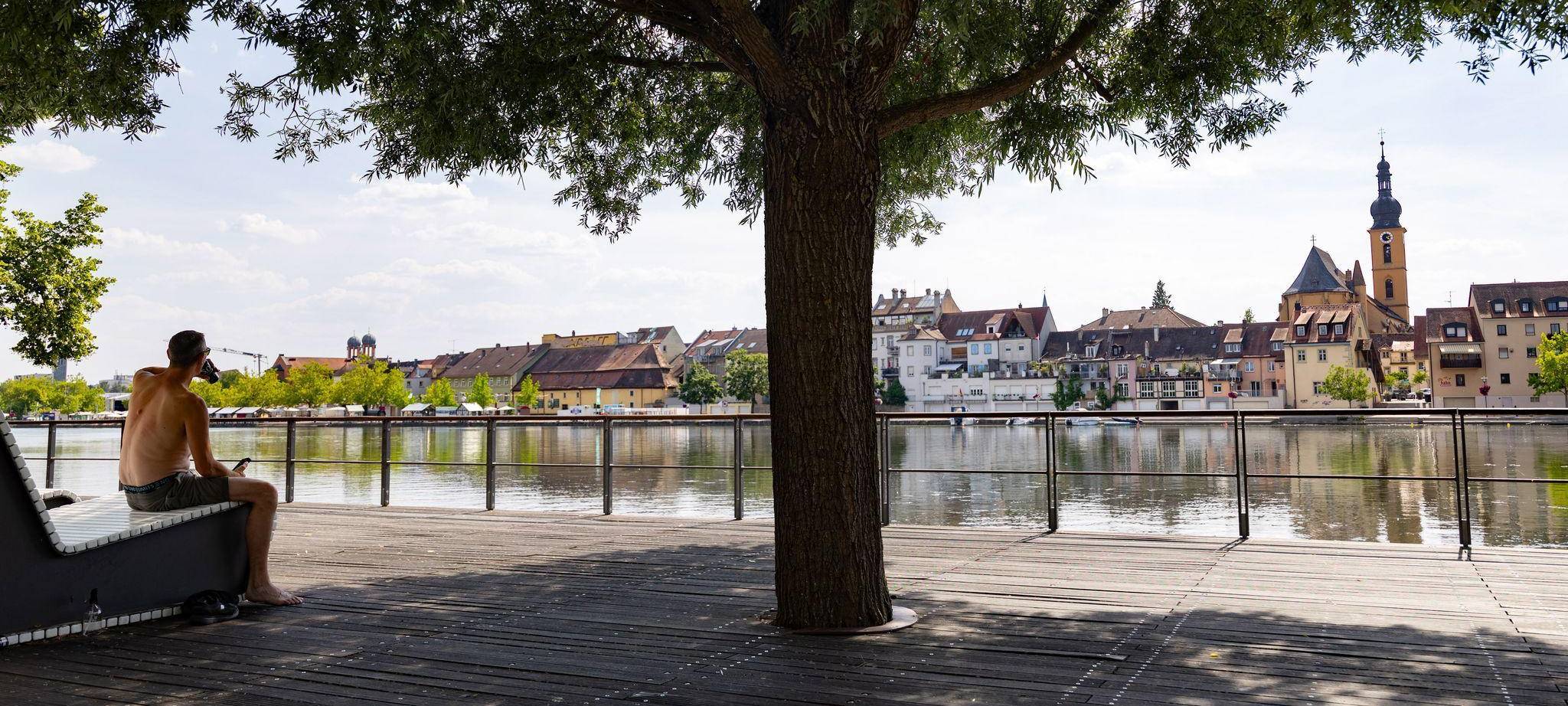 Ein Mann sitzt am Ufer des Mains unter einem Baum im Schatten