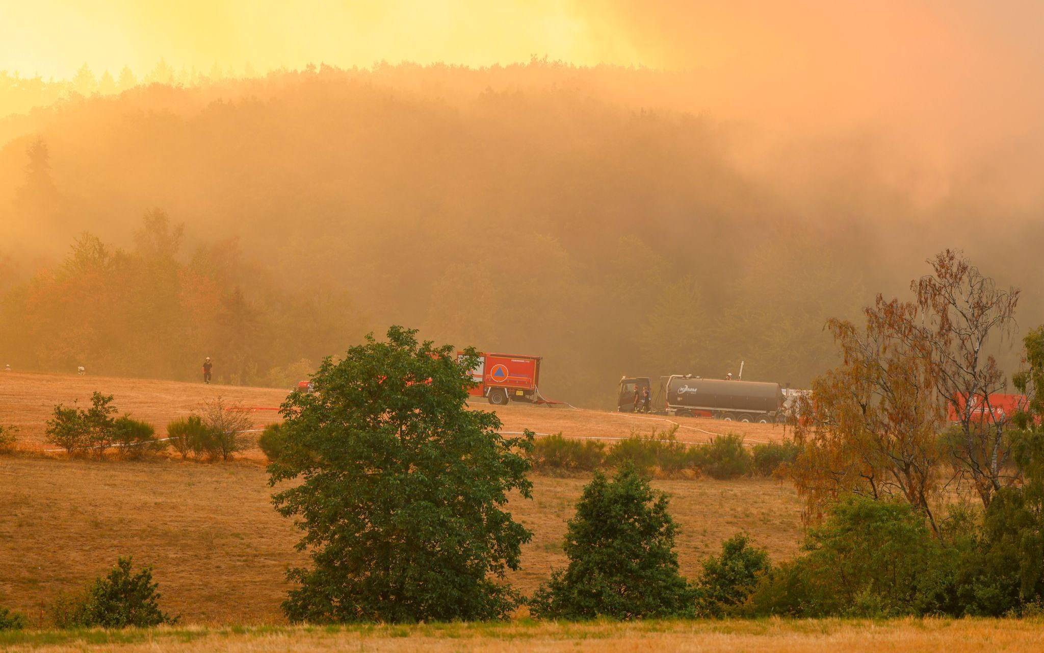 Waldbrand im Hürtgenwald